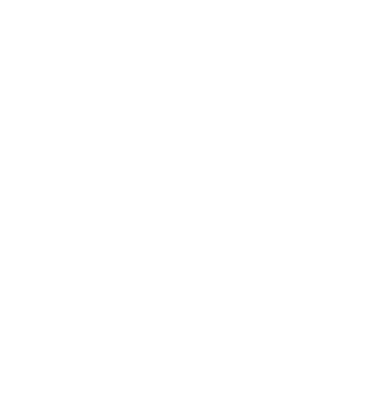 Logo Straservice